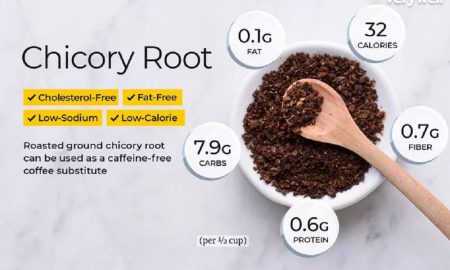 chicory-root-4