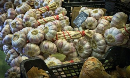 garlic-4